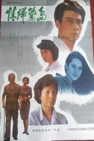 Coming Back to Xiamen 1991 on netflix