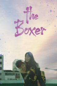 The Boxer 2022 on netflix