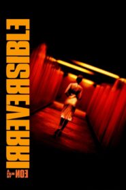 Irreversible 2002 on netflix