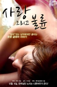 Love and Affair 2011 on netflix
