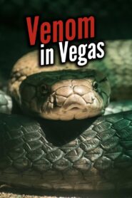 Venom In Vegas 2010 on netflix