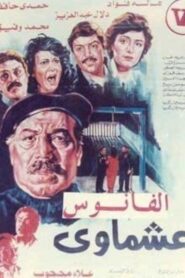 Ashmawi 1987 on netflix