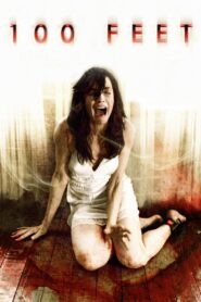 100 Feet 2008 on netflix