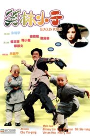 Shaolin Popey 1994 on netflix
