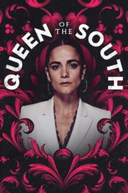 Queen of the South 2016 on netflix