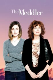 The Meddler 2016 on netflix