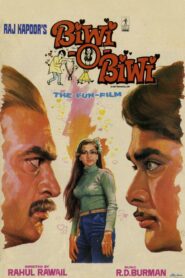 Biwi O Biwi 1981 on netflix