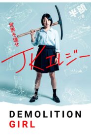 Demolition Girl 2019 on netflix