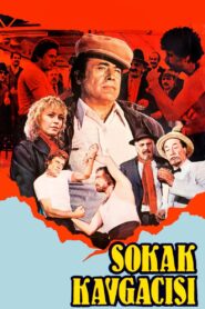 Sokak Kavgacısı 1986 on netflix