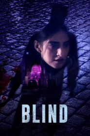 Blind 2023 on netflix