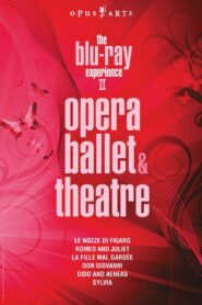 The Blu-ray Experience II: Opera, Ballet & theatre 2010 on netflix