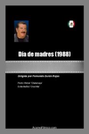 Dia de Madres 1988 on netflix