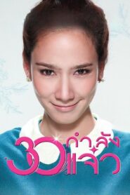 Fabulous 30 2011 on netflix