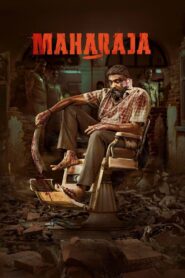 Maharaja 2024 on netflix