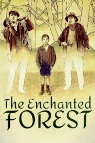 The Enchanted Forest 1987 on netflix
