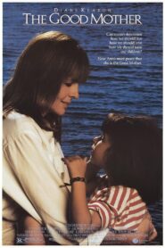 The Good Mother 1988 on netflix