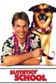 Summer School 1987 on netflix
