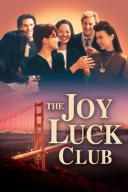 The Joy Luck Club 1993 on netflix