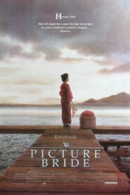 Picture Bride 1995 on netflix