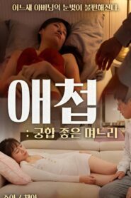 Concubine: Daughter-in-law With Good Compatibility 2023 on netflix