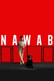Nawab 2020 on netflix