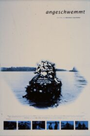 Washed Ashore 1994 on netflix