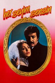 Her Şeyim Sensin 1985 on netflix