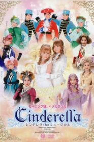 Cinderella the Musical 2008 on netflix
