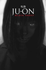 Ju-On: Black Ghost 2009 on netflix