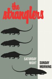 The Stranglers: Live at Alexandra Palace 1990 on netflix
