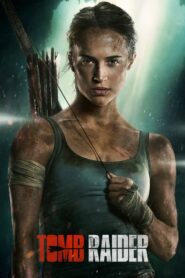 Tomb Raider 2018 on netflix