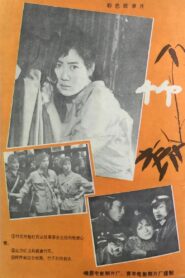 Bamboo 1980 on netflix