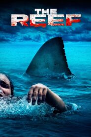 The Reef 2010 on netflix