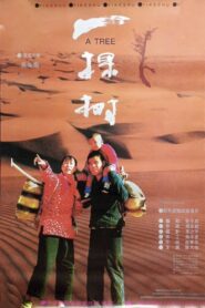 A Tree 1996 on netflix
