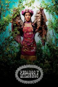 Lila Downs – Pecados y Milagros 2012 on netflix