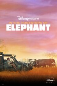 In the Footsteps of Elephant 2020 on netflix