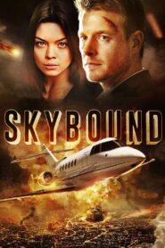 Skybound 2017 on netflix