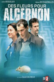 Des fleurs pour Algernon 2006 on netflix