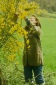 Gisèle Jan-Simon, mirror and fairy 1983 on netflix