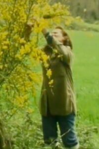 Gisèle Jan-Simon, mirror and fairy 1983 on netflix
