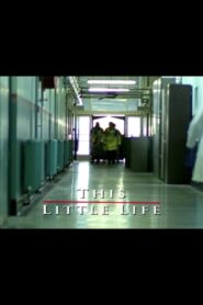 This Little Life 2003 on netflix