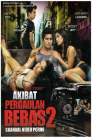 Akibat Pergaulan Bebas 2 2011 on netflix