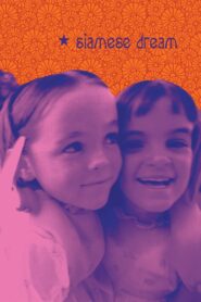 Smashing Pumpkins – Live at the Metro 1993 2011 on netflix