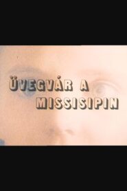 Üvegvár a Mississippin 1987 on netflix