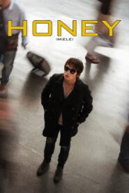 Honey 2013 on netflix