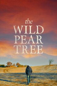 The Wild Pear Tree 2018 on netflix