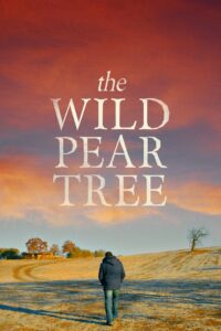 The Wild Pear Tree 2018 on netflix