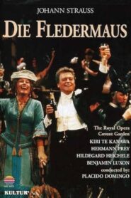 Die Fledermaus 1984 on netflix