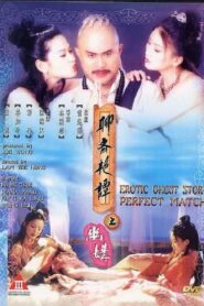 Erotic Ghost Story: Perfect Match 1997 on netflix