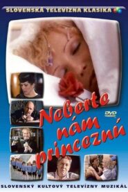 Let the Princess Stay with Us 1981 on netflix